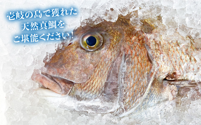 鯛茶漬 （4人前） 《壱岐市》【長田商店】[JAO015] 14000 14000円 海産物