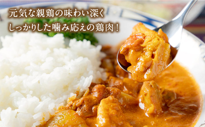 島育ちの元気な親鶏で作ったカレー3種と鶏釜飯の素 贈答用セット 4種×2袋 [JAP013] カレー カレーライス 炊き込みご飯 釜めし 時短 チキンカレー のし ギフト 総菜・レトルト