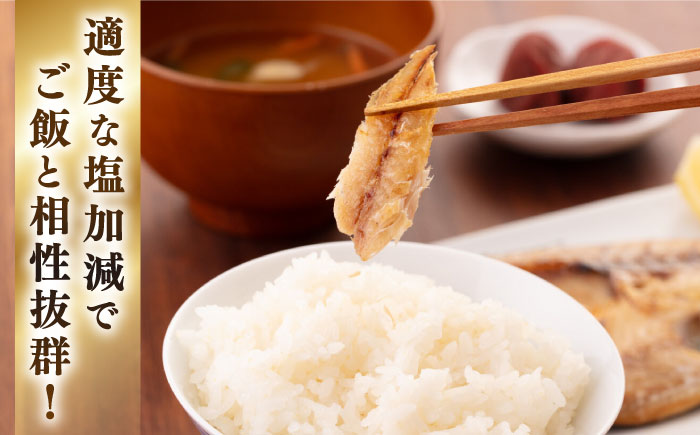 【全6回定期便】厳選　壱岐干し物セット《壱岐市》【馬渡水産】あじ アジ いわし イワシ たい タイ いか イカ 鯛 鯵 鰯 干物 ひもの 干物セット 冷凍配送 [JAQ018]