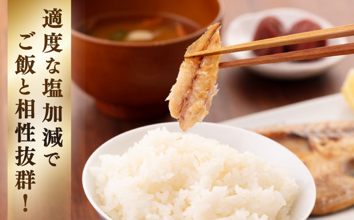 旬の干し物6種類（2人用）セット《壱岐市》【馬渡水産】あじ アジ 鯵 いわし イワシ 鰯 いか イカ 烏賊 たい タイ 鯛 干物 ひもの 干物セット 冷凍配送 [JAQ028]