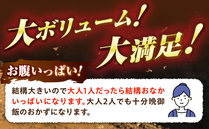 特大アカカマスの開き 干物 計600g（3～4枚）《壱岐市》【馬渡水産】かます カマス アカカマス 赤カマス ひもの 干物 冷凍配送 [JAQ036]