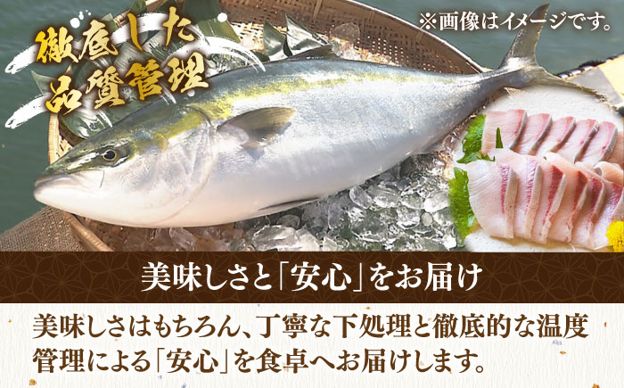【9～12kg台】 寒ブリ 3枚おろし《壱岐市》【魚助】  刺身 お刺身 刺し身 フィレ 海鮮 海産物 [JFX006] 200000 200000円 20万円