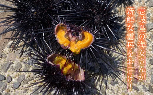 紫ウニ 120g 壱岐の海ごはん 生！！「紫うに」60g 2本入り 《壱岐市》【メイリ・キッチン】ウニ 雲丹 [JBD005] 27000 27000円