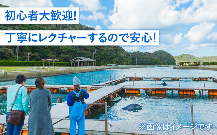 SUP体験 《壱岐市》【壱岐イルカパーク＆リゾート】[JBF008] 22000 22000円