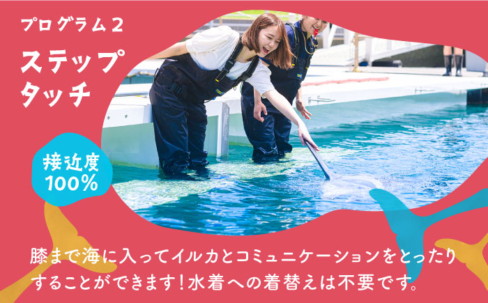 イルカふれあいエンジョイパック 1名様分 [JBF033]  長崎県 長崎 壱岐市 壱岐 体験 アクティビティ 30000 30000円 3万円