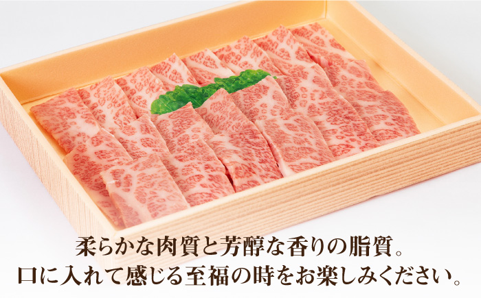 《A4～A5ランク》壱岐牛カルビ焼肉・壱岐産米セット(カルビ250g/米10kg)[JBO041]    33000 33000円