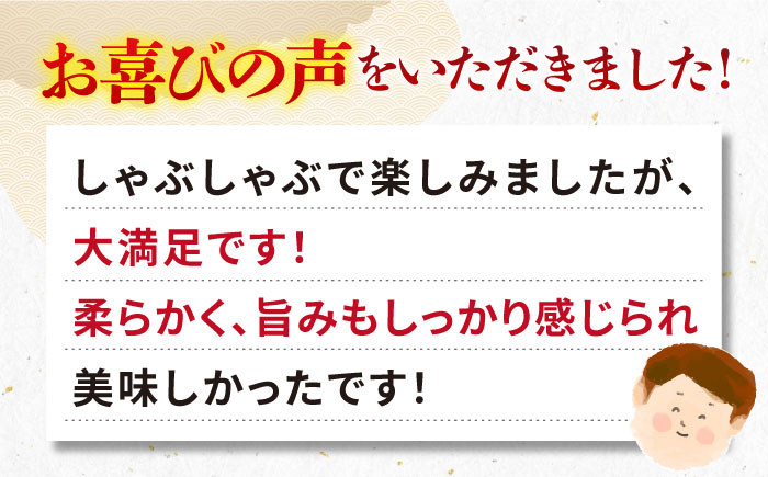 【全12回定期便】 《A4～A5ランク》壱岐牛 ロース 500g（すき焼き・しゃぶしゃぶ用）《壱岐市》【壱岐市農業協同組合】 肉 牛肉 ロース すき焼き しゃぶしゃぶ  薄切り 赤身 [JBO091] 384000 384000円