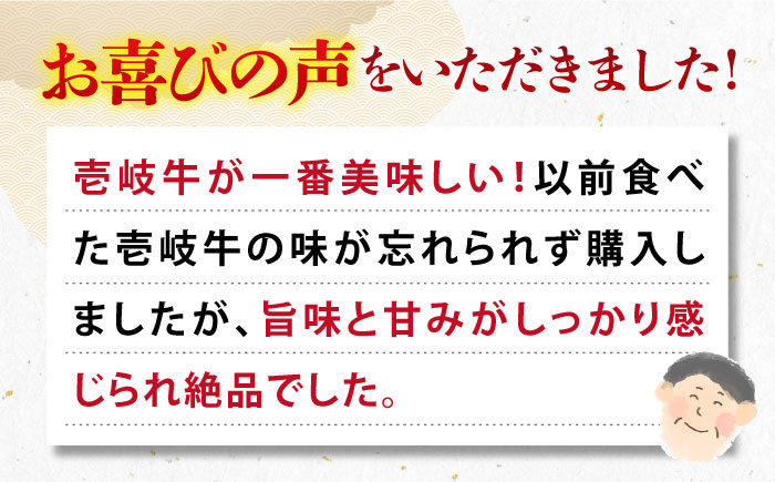 【全6回定期便】 《A4～A5ランク》壱岐牛 赤身 400g（焼肉用）《壱岐市》【壱岐市農業協同組合】 肉 牛肉 赤身 焼肉 BBQ 赤身 [JBO105]   100000 100000円 10万円