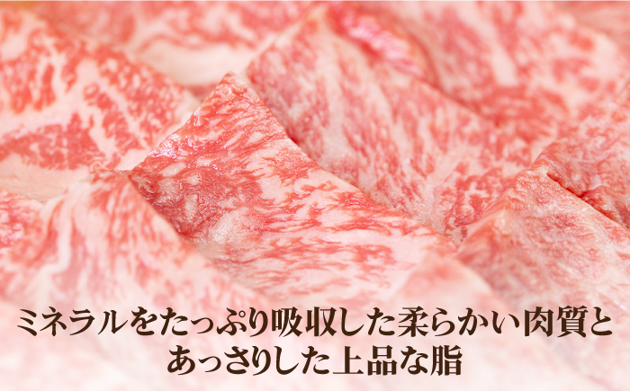 【全2回定期便】 壱岐牛 極上 ロース 400g（焼肉用）《壱岐市》【壱岐市農業協同組合】 肉 牛肉 焼肉 ロース BBQ 赤身 [JBO120] 64000 64000円