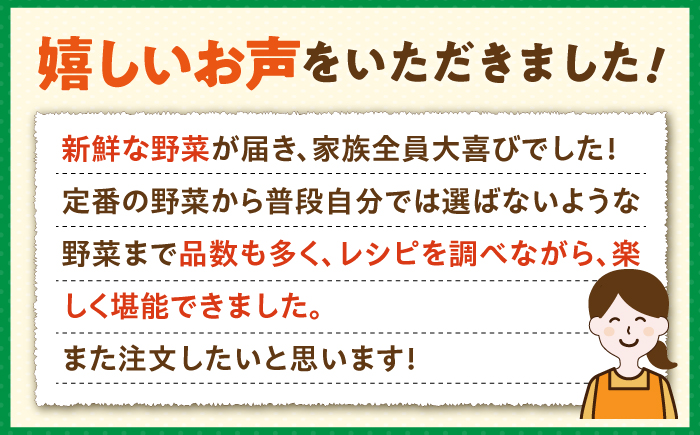 【全2回定期便】旬の野菜セット 7品《壱岐市》【壱岐市農業協同組合】季節 健康 栄養 やさい 詰め合わせ [JBO131] 20000 20000円