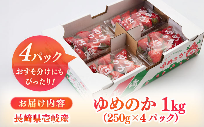 【先行予約】【2026年3月以降順次発送】壱岐市産 いちご ゆめのか 1kg（250g×4パック）《壱岐市》【壱岐市農業協同組合】 イチゴ フルーツ 果物 スムージー 完熟 春 先行予約 数量限定 [JBO138] 12000 12000円