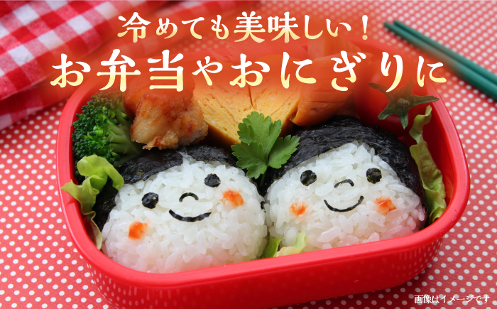 壱岐産 こしひかり 5kg《壱岐市》【壱岐市農業協同組合】   お米 ご飯 お弁当 常温発送 [JBO147] 17000 17000円