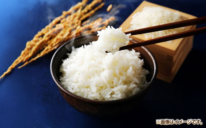 壱岐産米 なつほのか 5kg《壱岐市》【壱岐市農業協同組合】[JBO149]