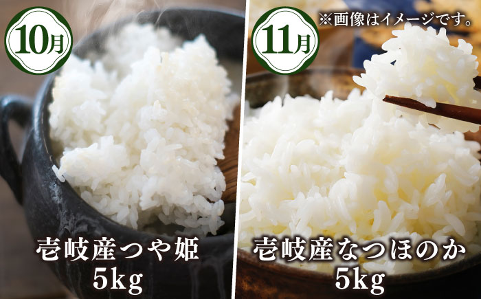 【先行予約】【全6回定期便】壱岐産農産物定期便【2025年10月下旬以降順次発送】《壱岐市》【壱岐市農業協同組合】米 コシヒカリ じゃがいも いちご 野菜 セット [JBO159]