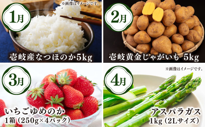 【全12回定期便】【先行予約】壱岐選りすぐり定期便【2025年10月下旬以降順次発送】《壱岐市》【壱岐市農業協同組合】 米 野菜 メロン ステーキ [JBO160]