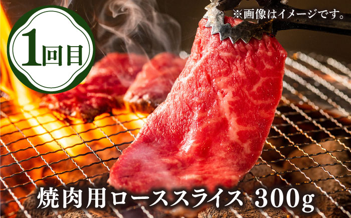 【先行予約】【全3回定期便】壱岐牛定期便（壱岐牛ステーキ、しゃぶすき、焼き肉セット）2人前【2025年12月下旬以降順次発送】《壱岐市》【壱岐市農業協同組合】壱岐牛 すき焼き ステーキ しゃぶしゃぶ 焼肉 [JBO165]