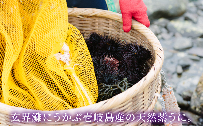 天然紫うに！生うに３本セット（無添加・微塩）計 180g《壱岐市》【壱岐水産】のし プレゼント ギフト 冷凍配送 [JBR026]