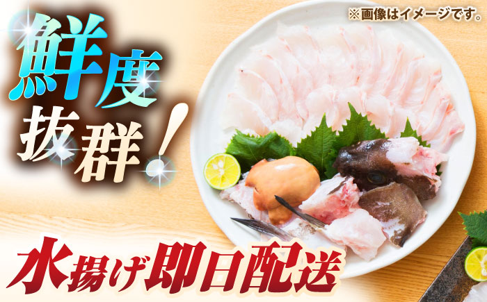 天然クエ（17キロ台・3枚おろし） 《壱岐市》【壱岐島　玄海屋】[JBS091] 1430000 1430000円 143万円