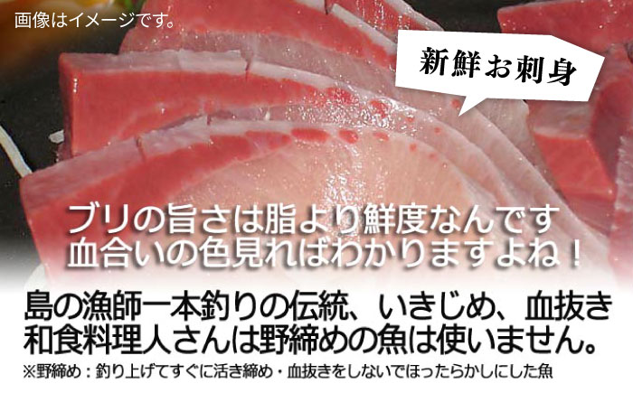 【1/16～3月末お届け】天然 寒ブリ（一本丸ものサイズ11キロ台 半身ブロック）《壱岐市》【壱岐島 玄海屋】 [JBS101] 92000 92000円