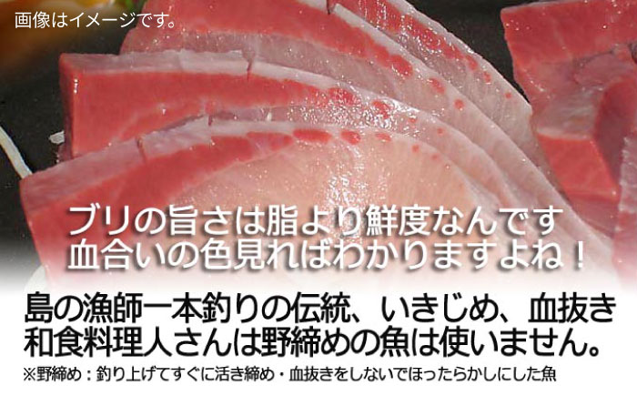壱岐島産天然寒ブリ（14ｷﾛ台・丸もの） [JBS110]