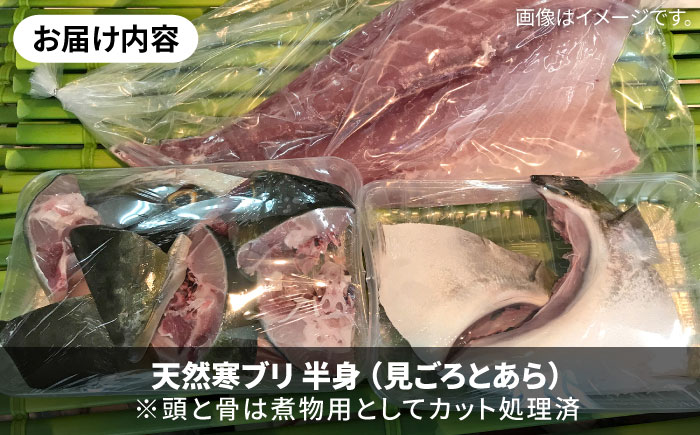 【1/16～3月末お届け】天然 寒ブリ（一本丸ものサイズ14キロ台 半身ブロック）《壱岐市》【壱岐島 玄海屋】 [JBS121]