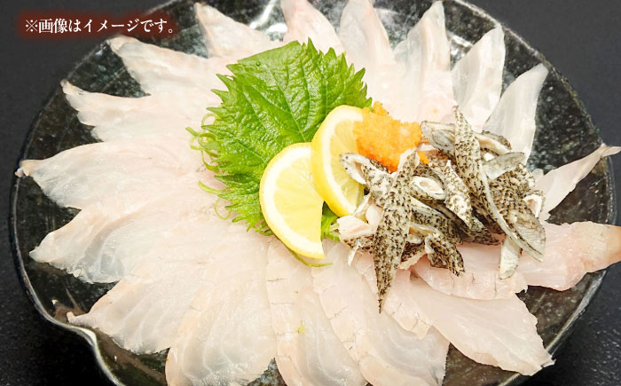 クエの出張解体ショー《壱岐市》【壱岐島 玄海屋】 [JBS129] 2000000 2000000円 200万円