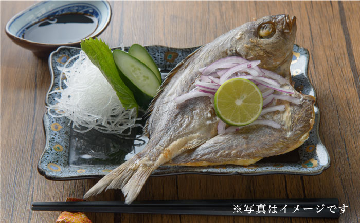 【全6回定期便】壱岐美食の海の幸セット [JBU019] 干物 刺身 アジ イカ カマス 84000 84000円