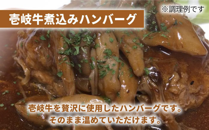 壱岐牛 煮込みハンバーグ キーマカレー セット 200g 5個《壱岐市》【壱岐味噌工房】[JBW005] 36000 36000円 加工品