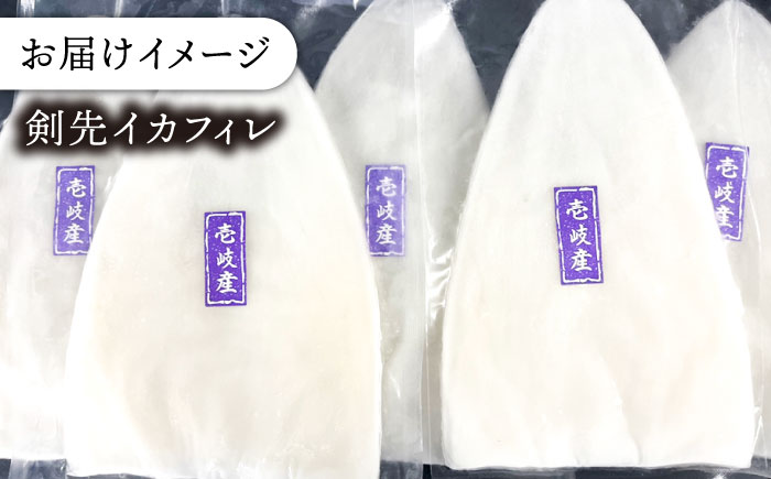 ケンサキイカ 刺身 & 一夜干し セット 剣先イカ 烏賊 《壱岐市》 【一支國屋】 おつまみ フィレ [JCC009] 20000 20000円