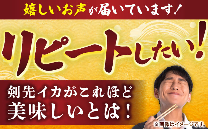 【冷凍】剣先イカ 刺身用 500g　剣先烏賊 《壱岐市》 【一支國屋】海鮮 烏賊 イカ いか 刺身 刺し身 お刺身 剣先イカ 冷凍配送 [JCC024]