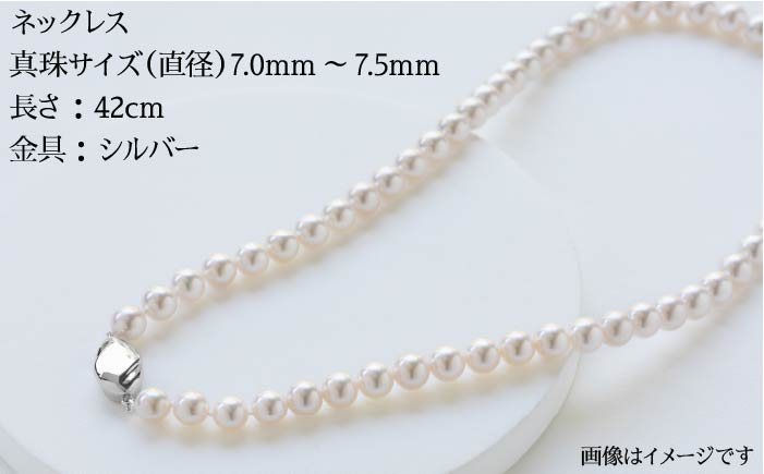 真珠 ネックレス イヤリング セット 《壱岐市》【上村真珠】[JCE001] 400000 400000円 40万円 アクセサリー