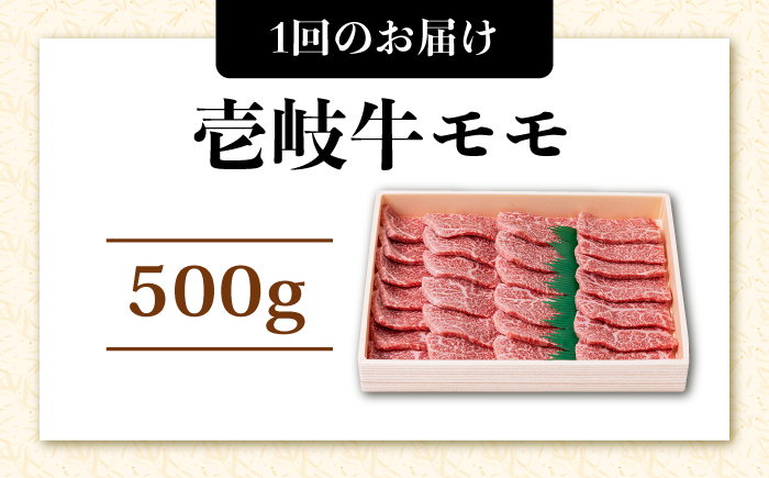【全2回定期便】壱岐牛焼き肉セット 500g《壱岐市》【株式会社ヤマグチ】牛肉 黒毛和牛 ブランド牛 九州 肉 [JCG126] 40000 40000円 4万円