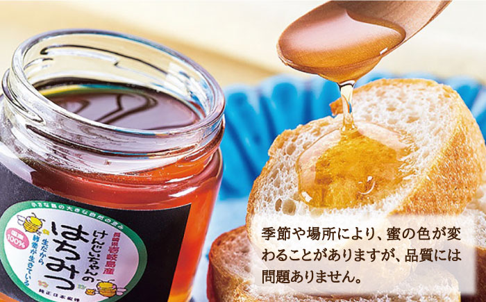 ニホンミツバチ 生蜂蜜 600g×2（パッカー300g・化粧箱付き） 《壱岐市》【憲ちゃんハチミツ】[JCL011] はちみつ 蜂蜜 日本蜜蜂 ギフト プレゼント