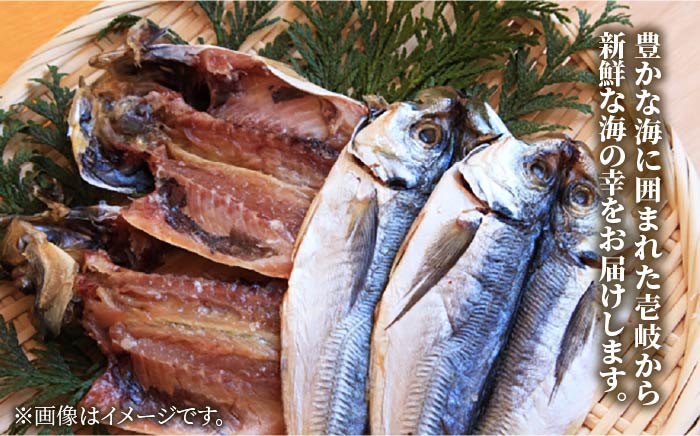 干物 壱岐のおもてなしセット【水仙】 《壱岐市》【汐彩屋】[JCT005] 41000 41000円