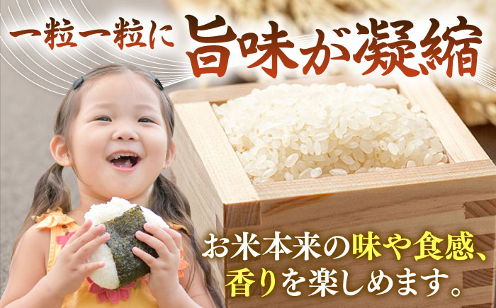 【R6年度産】掛け干しひのひかり  10kg [JCZ016] 米 ごはん ご飯 ひのひかり 18000 18000円