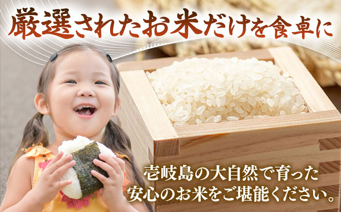 【R6年度産】こしひかり 10kg 《壱岐市》 【長米壱岐営業所】[JCZ019] ごはん ご飯 こしひかり コシヒカリ 31000 31000円