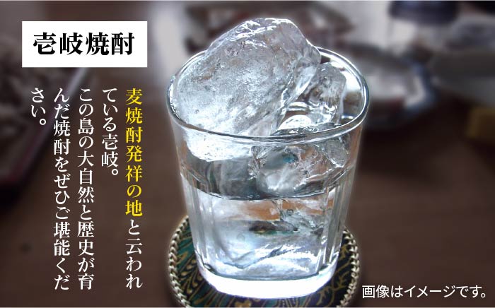 麦焼酎 お酒 一升瓶 壱岐の蔵酒造 壱岐の島 1800ml 3本入りセット モンドセレクション金賞受賞 壱岐市 【天下御免】 [JDB113] 26000 26000円