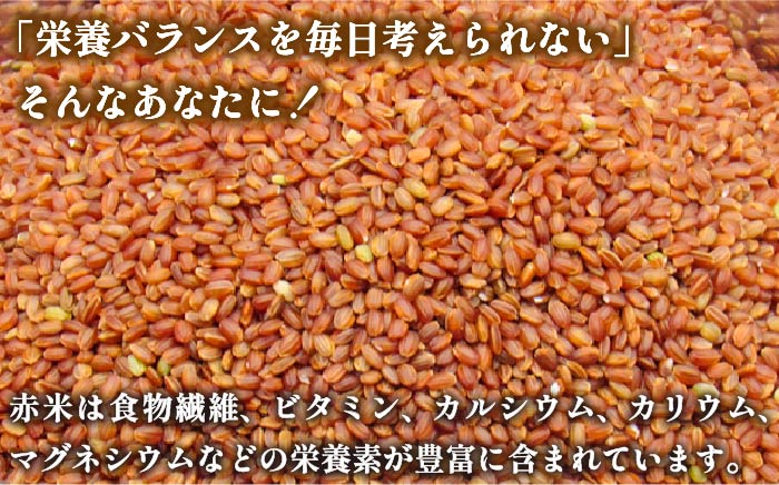 【予約受付中】 赤米 4kg （1kg入り × 4袋）  原の辻遺跡《壱岐市》【天下御免】 [JDB123] 13000 13000円