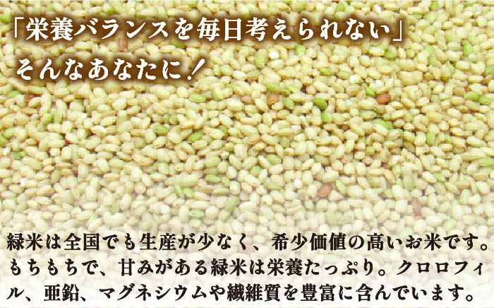 【予約受付中】  緑米 3kg （1kg入り × 3袋） 原の辻遺跡《壱岐市》【天下御免】 [JDB124] 13000 13000円