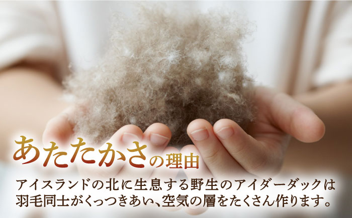 【ダブル】【至福の寝ごこち】 羽毛布団 本掛け アイダーダウン×綿100％（ホワイト・精紡交撚）《壱岐市》【富士新幸九州】 [JDH080] アイダーダウン 布団 ふとん 綿100％ 本掛 掛布団 掛け布団 掛けふとん ダウン ダブル 3250000 3250000円