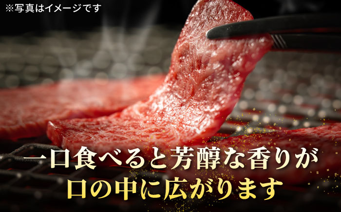 【全2回定期便】 特選 壱岐牛 モモ 1kg（焼肉）《壱岐市》【太陽商事】 肉 牛肉 モモ 赤身 焼肉 焼き肉 焼肉用 BBQ 定期便 BBQ [JDL118]
