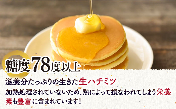 和蜂蜜（ニホンミツバチ） 600g×3本 《壱岐市》【和蜂ファーム壱岐】[JDP006] ハチミツ 蜂蜜 はちみつ 日本ミツバチ 84000 84000円