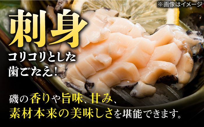 【お歳暮対象】国産養殖アワビ 活き！壱岐！アワビ 計500g（約100g×5枚）《壱岐市》【住吉水産】アワビ 鮑 養殖 貝 海産物 魚介 魚貝 産地直送 お刺身 冷蔵発送 [JDQ007]