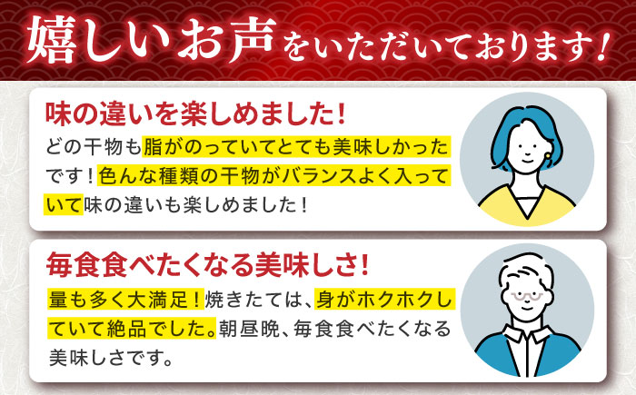 【全6回定期便】ひものや つかもとの旬のおまかせ干物詰め合わせ《竹》 [JDR013] 干物 ひもの みりん干し おまかせ 詰め合わせ アジ あじ いわし イワシ イカ カサゴ