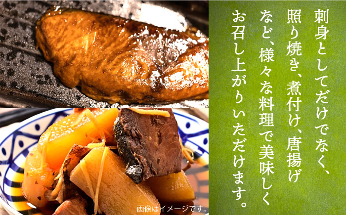 ヒラマサフィレ 約1～1.5kg（半身）《壱岐市》【なかはら】[JDT008] ヒラマサ フィレ 柵 刺身  刺し身 切身 冷凍配送 海鮮 海鮮丼 27000 27000円