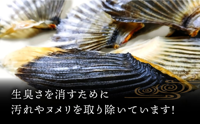 ヒレ酒用ヒレ（50杯分）《壱岐市》【株式会社なかはら】 [JDT016] ひれ酒 酒 日本酒 ヒレ トラフグ 大容量 18000 18000円