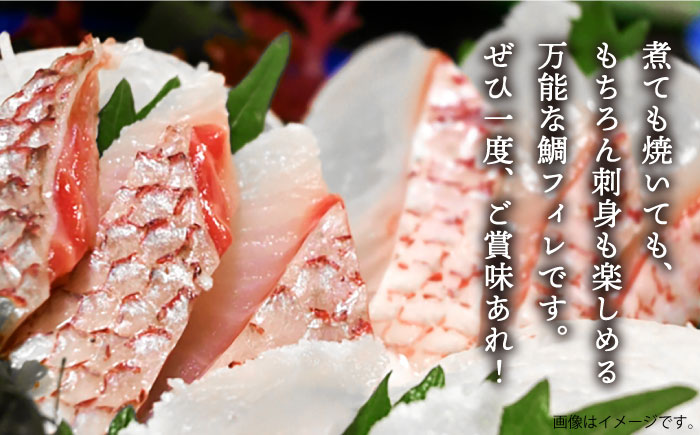 【全3回定期便】鯛フィレ 約800～1200g（1尾・2kg台）《壱岐市》【なかはら】 [JDT033] タイ 鯛 フィレ 柵 刺身 刺身ブロック 刺し身 切身 冷凍 海鮮 海鮮丼 定期便 81000 81000円 冷凍配送