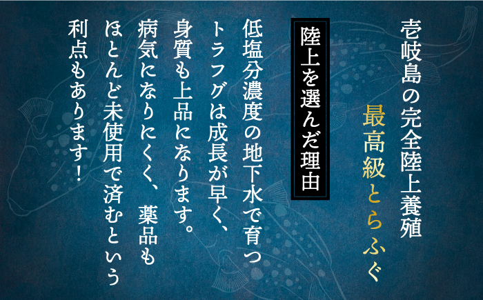 焼きふぐ 40g×2パック《壱岐市》【株式会社なかはら】 ふぐ 河豚 とらふぐ トラフグ 焼きふぐ 焼ふぐ おつまみ 肴 ツマミ 13000 13000円 [JDT078]