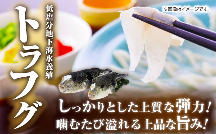 【全2回定期便】 【壱岐島直送】プレミアム海鮮4種食べ比べ刺身セット≪壱岐市≫【なかはら】 冷凍配送 刺身 小分け 産地直送 お刺身 刺し身 寿司 海鮮 [JDT082]