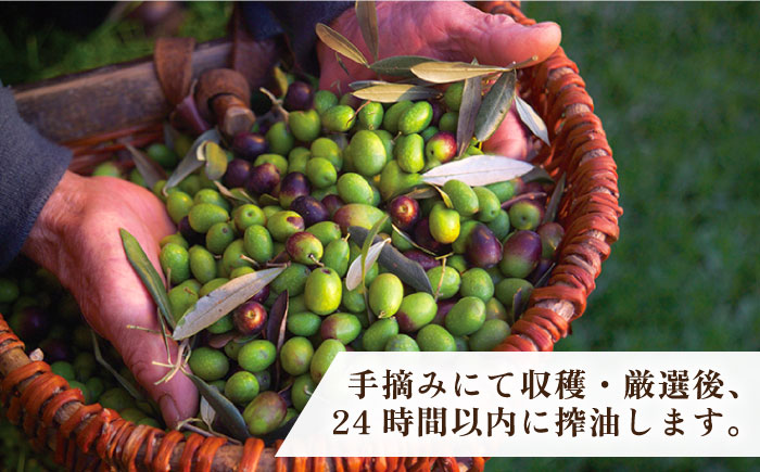 【年内発送】ikicael ハンドクリーム 50g 《壱岐市》【壱岐オリーブ園】 ギフト プチギフト 保湿 [JDU020] 12000 12000円